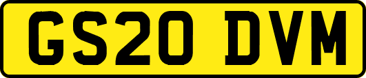 GS20DVM