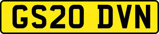 GS20DVN