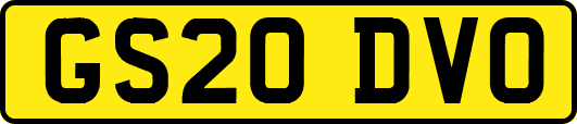 GS20DVO