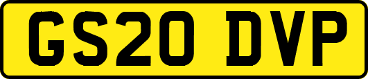 GS20DVP