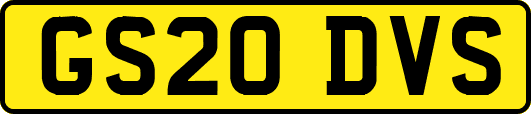 GS20DVS