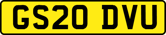 GS20DVU