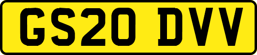 GS20DVV