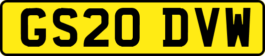 GS20DVW