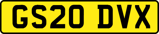 GS20DVX