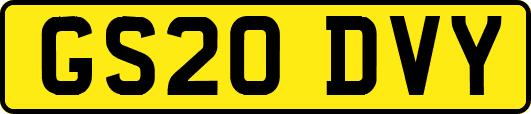 GS20DVY