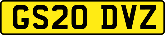 GS20DVZ