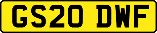 GS20DWF