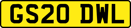 GS20DWL