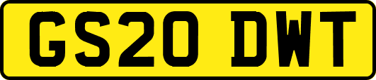 GS20DWT