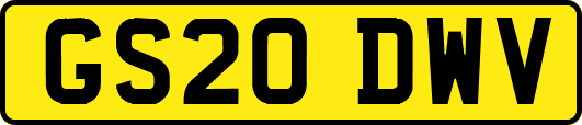 GS20DWV