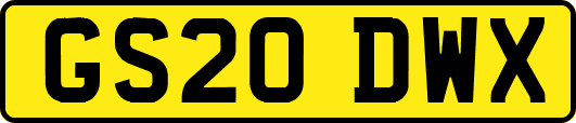 GS20DWX