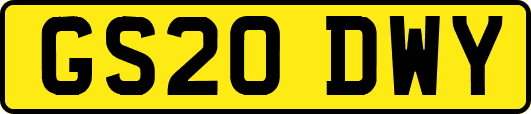 GS20DWY