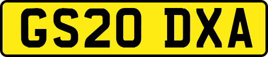 GS20DXA