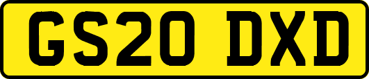 GS20DXD