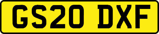 GS20DXF