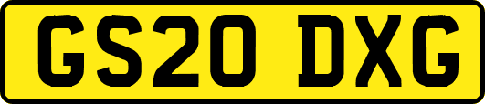 GS20DXG