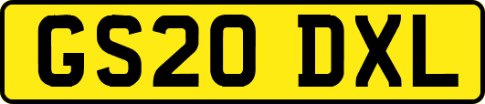GS20DXL