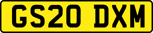 GS20DXM