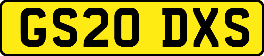 GS20DXS