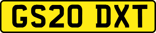 GS20DXT