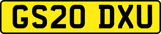 GS20DXU