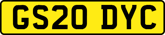 GS20DYC