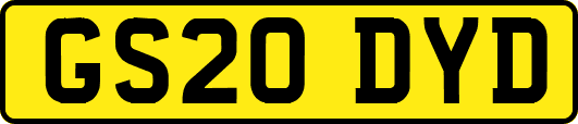 GS20DYD