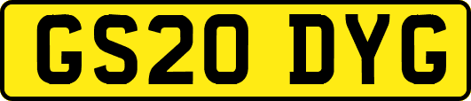GS20DYG