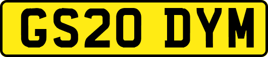 GS20DYM