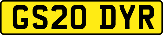 GS20DYR