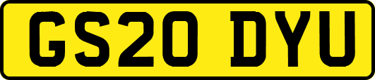 GS20DYU