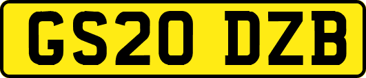 GS20DZB