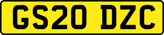 GS20DZC