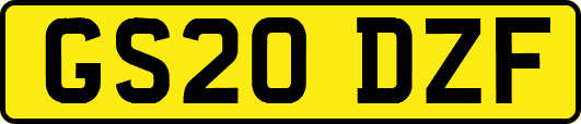 GS20DZF