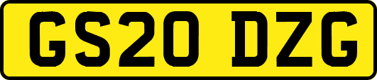 GS20DZG