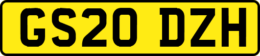 GS20DZH