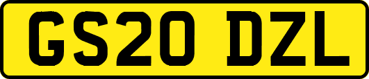 GS20DZL