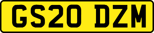 GS20DZM