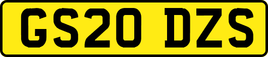 GS20DZS