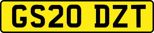 GS20DZT