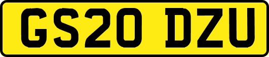 GS20DZU