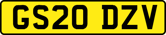 GS20DZV