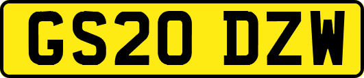 GS20DZW