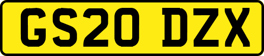 GS20DZX