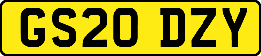 GS20DZY