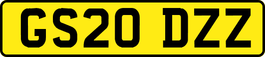 GS20DZZ