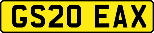 GS20EAX
