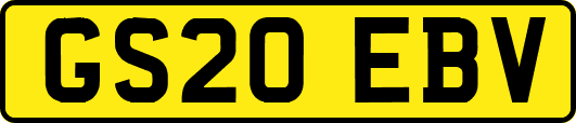 GS20EBV