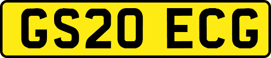 GS20ECG
